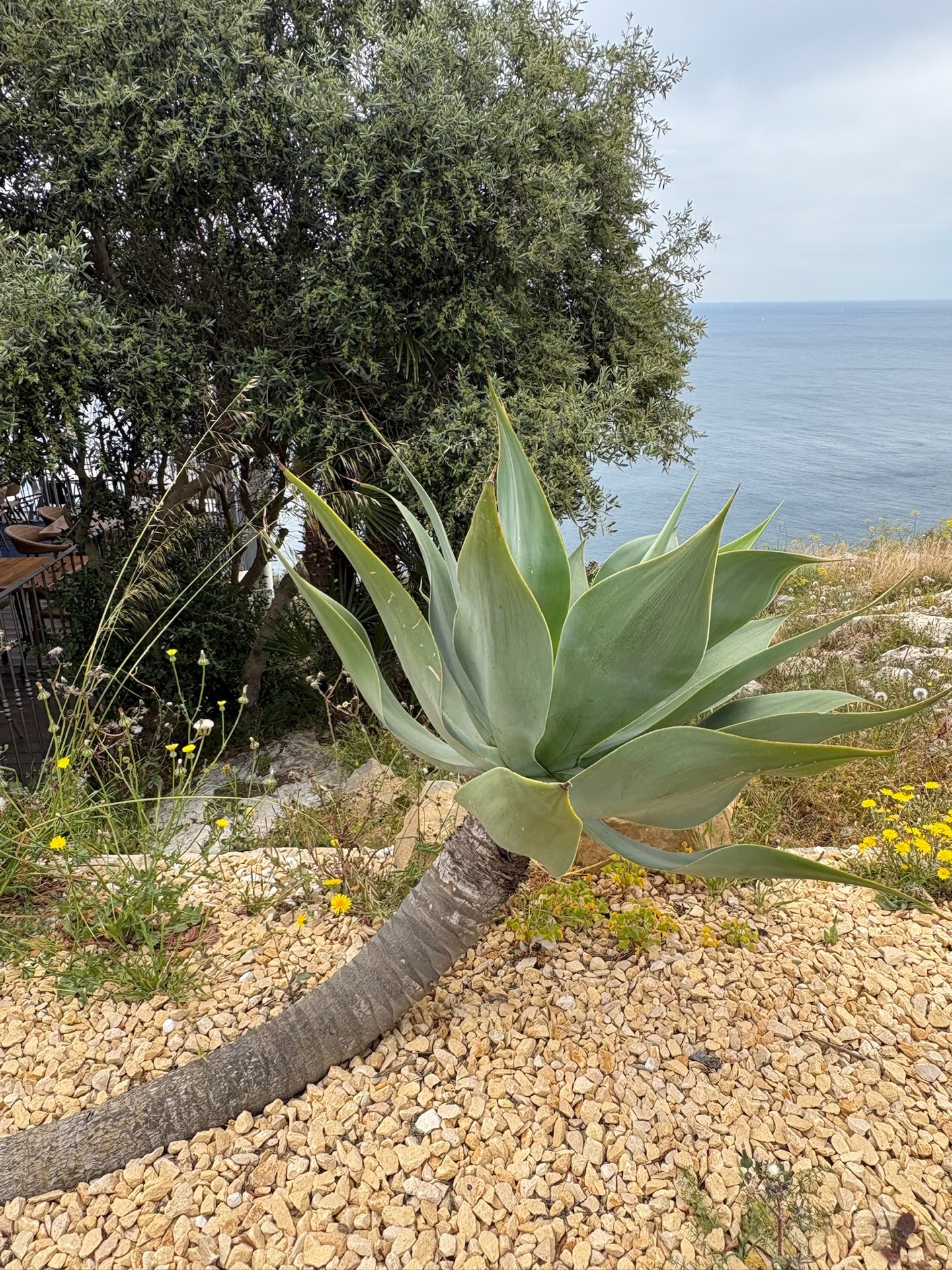 Omgeving van Casa Monte Zen — Jávea, Costa Blanca