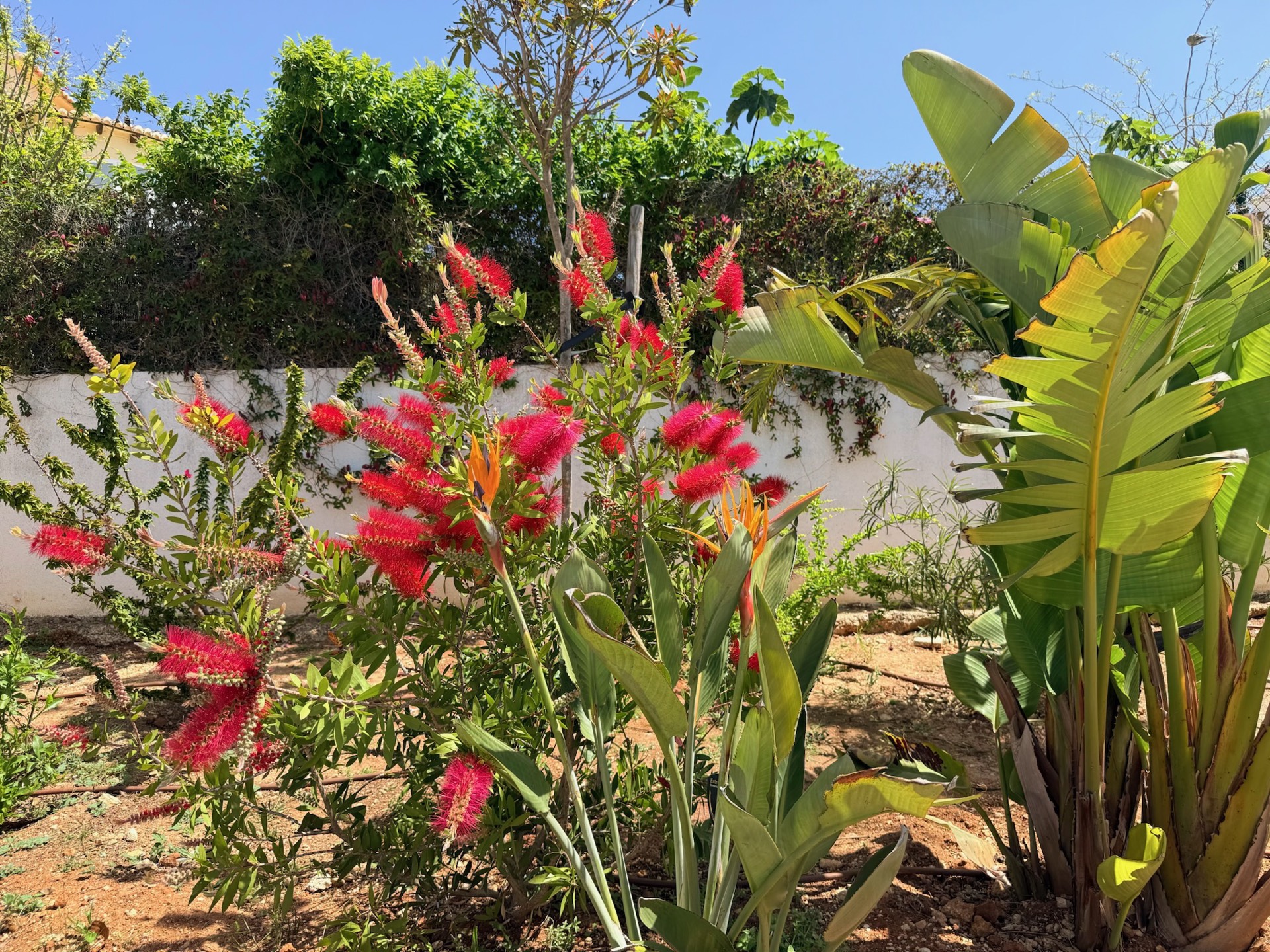 Mediterrane tuin van Casa Monte Zen